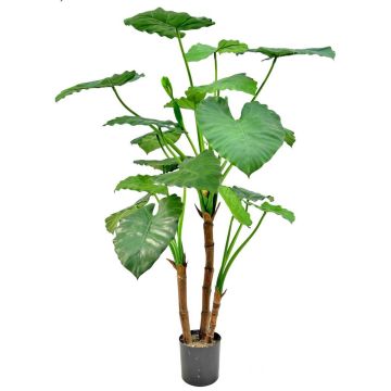Planta artificial Alocasia calidora NOKJAN, verde, 120 cm