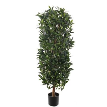 Columna de laurel artificial UNUK, tronco real, 205 cm
