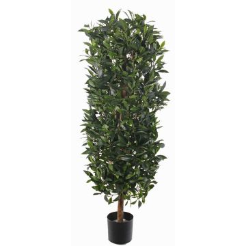 Columna de laurel artificial UNUK, tronco real, 205cm Columna de laurel artificial UNUK, tronco real, 205cm