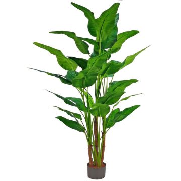 Palmera de plástico Árbol del viajero GORYU, 250 cm