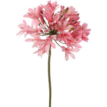 Flor artificial Agapanthus KAFENA, rosa claro, 90cm, Ø20cm