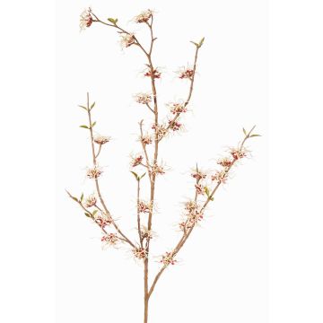 Rama artificial de hamamelis XYLA, flores, crema-rojo, 120cm, Ø5cm Rama artificial de hamamelis XYLA, flores, crema-rojo, 120cm, Ø5cm