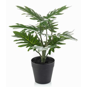 Planta artificial filodendro selloum ROVILG, maceta decorativa, 28 cm Planta artificial filodendro selloum ROVILG, maceta decorativa, 28 cm