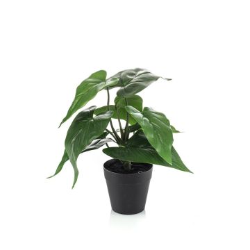 Planta artificial flor flamingo RAMLOZ, maceta decorativa, verde, 28 cm