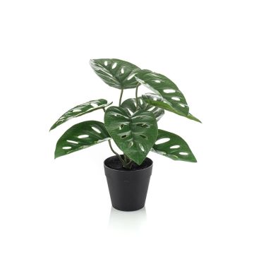 Planta artificial Philodendron monstera adansonii PRUMEX, maceta decorativa, 28 cm