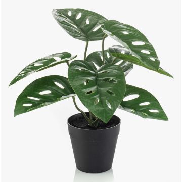 Planta artificial Philodendron monstera adansonii PRUMEX, maceta decorativa, 28 cm Planta artificial Philodendron monstera adansonii PRUMEX, maceta decorativa, 28 cm
