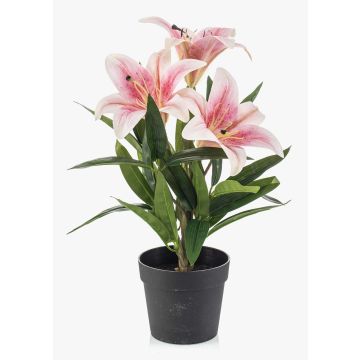 Lirio artificial YELTOR en maceta decorativa, rosa-fucsia, 35 cm Lirio artificial YELTOR en maceta decorativa, rosa-fucsia, 35 cm
