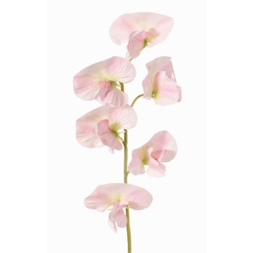 Flor artificial Lathyrus WAHNY, rosa claro-verde-blanco, 45cm, Ø5,5cm Flor artificial Lathyrus WAHNY, rosa claro-verde-blanco, 45cm, Ø5,5cm