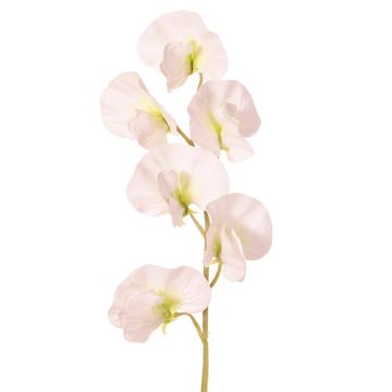 Flor artificial Lathyrus WAHNY, blanco-verde, 35 cm, Ø 5 cm