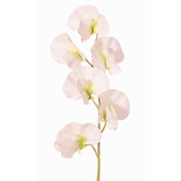 Flor artificial Lathyrus WAHNY, blanco-verde, 45cm, Ø5,5cm Flor artificial Lathyrus WAHNY, blanco-verde, 45cm, Ø5,5cm