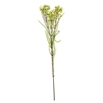 Rama artificial de flor de cera MEDEA, verde-rosa, 80 cm, Ø 6 cm Rama artificial de flor de cera MEDEA, verde-rosa, 80 cm, Ø 6 cm