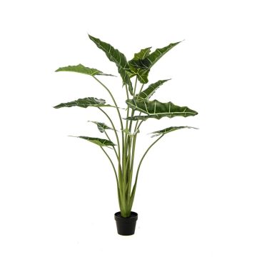 Planta artificial Alocasia Sanderiana MUNAY en maceta decorativa, verde, 140 cm Planta artificial Alocasia Sanderiana MUNAY en maceta decorativa, verde, 140 cm