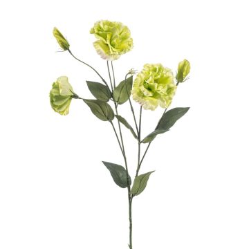 Flor artificial Lisianthus RENARA, verde claro, 75 cm Flor artificial Lisianthus RENARA, verde claro, 75 cm