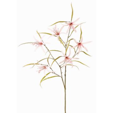 Rama decorativa TYZANS, rosa claro, 95 cm Rama decorativa TYZANS, rosa claro, 95 cm
