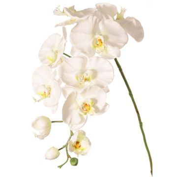 Rama decorativa de orquídea Phalaenopsis WESA, blanca, 100 cm