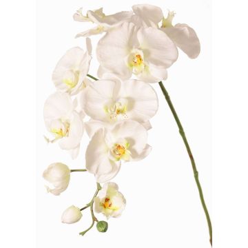 Rama decorativa de orquídea Phalaenopsis WESA, blanca, 100 cm Rama decorativa de orquídea Phalaenopsis WESA, blanca, 100 cm