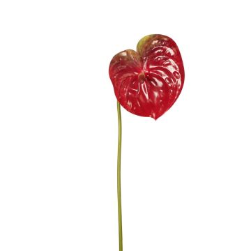 Flor artificial Anthurium SAMBANA, rojo-verde, 65 cm Flor artificial Anthurium SAMBANA, rojo-verde, 65 cm