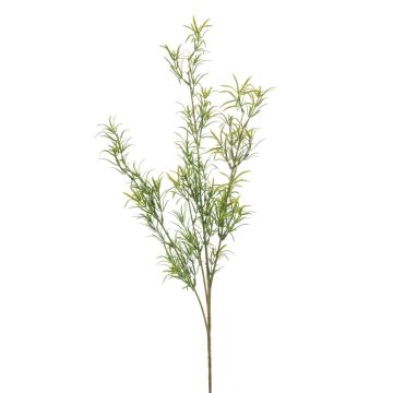 Rama artificial de Asparagus sprengeri SAMBENO, verde, 80cm Rama artificial de Asparagus sprengeri SAMBENO, verde, 80cm