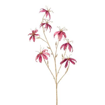 Gloriosa de terciopelo KAZBEK, rosa viejo-dorado, 110 cm