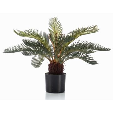 Palmera cycas artificial pequeña NEREO, 55 cm Palmera cycas artificial pequeña NEREO, 55 cm