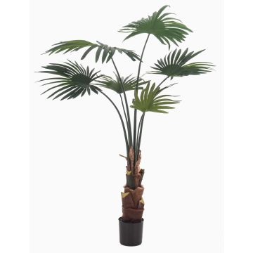 Palmera artificial de hojas redondas SIRRAH, verde, 110 cm