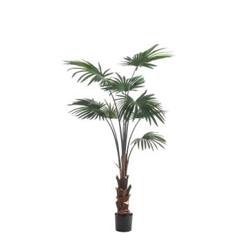 Palmera artificial de hojas redondas SIRRAH, verde, 150 cm