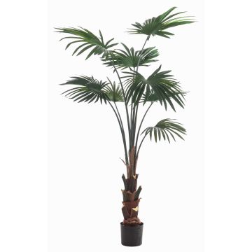Palmera artificial de hojas redondas SIRRAH, verde, 150 cm