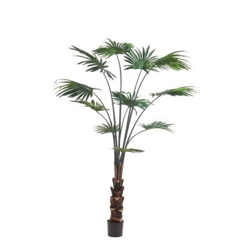 Palmera artificial de hojas redondas SIRRAH, verde, 180 cm