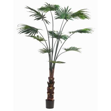 Palmera artificial de hojas redondas SIRRAH, verde, 180 cm