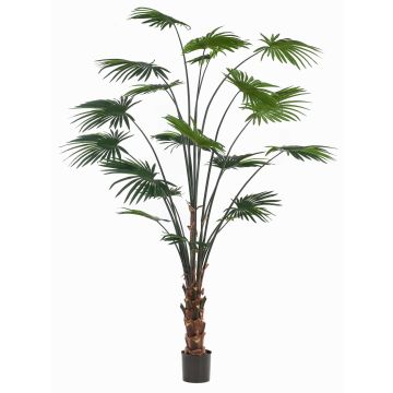Palmera artificial de hojas redondas SIRRAH, verde, 240 cm