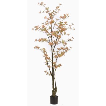 Árbol artificial capuchina SULLA, tronco artificial, verde melocotón, 185 cm Árbol artificial capuchina SULLA, tronco artificial, verde melocotón, 185 cm