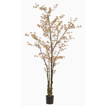 Árbol artificial capuchina SULLA, tronco artificial, verde melocotón, 245 cm Árbol artificial capuchina SULLA, tronco artificial, verde melocotón, 245 cm