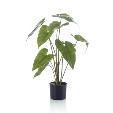 Planta artificial Alocasia Zebrina LEFKA con raíces, verde, 75 cm