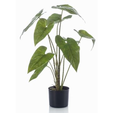 Planta artificial Alocasia Zebrina LEFKA con raíces, verde, 75 cm