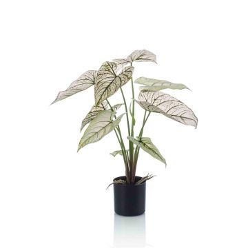 Planta artificial Caladium YAWAR con raíces, verde-blanco, 60 cm