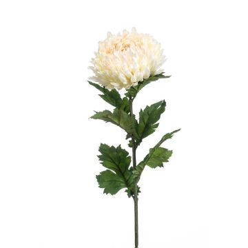 Flor artificial Crisantemo LAZO, rosa crema, 75 cm