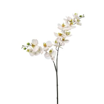 Rama de orquídea Phalaenopsis artificial WANTA, blanca, 100 cm