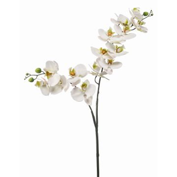 Rama de orquídea Phalaenopsis artificial WANTA, blanca, 100 cm Rama de orquídea Phalaenopsis artificial WANTA, blanca, 100 cm