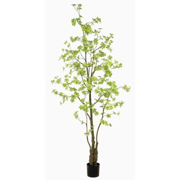 Árbol artificial capuchina SULLA, tronco artificial, verde, 245 cm Árbol artificial capuchina SULLA, tronco artificial, verde, 245 cm