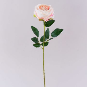Flor artificial rosa CHERLEN, rosa pálido, 60 cm, Ø 10 cm Flor artificial rosa CHERLEN, rosa pálido, 60 cm, Ø 10 cm