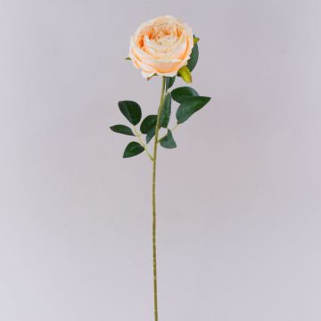 Flor artificial rosa CHERLEN, albaricoque, 60 cm, Ø 10 cm