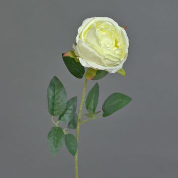 Flor artificial rosa CHERLEN, blanca, 60 cm, Ø 10 cm
