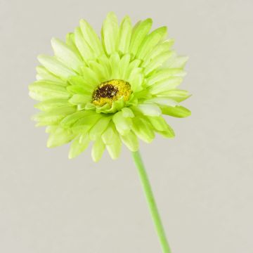 Flor artificial Gerbera TEUDELINDE, verde crema, 55 cm, Ø 8 cm