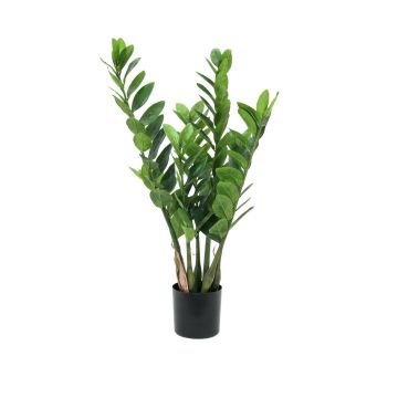Zamioculcas falsa AKELA, verde, 70cm