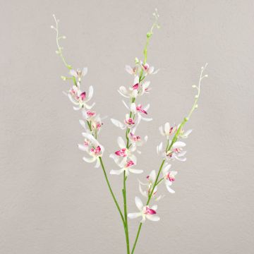 Rama de flores artificiales de orquídea Cymbidium MONDEGO, blanco-rosa, 95 cm