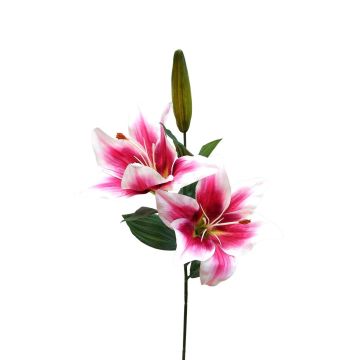 Rama de flores artificiales lirio RODEHILDE, rosa oscuro-blanco, 65 cm
