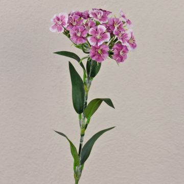 Flor artificial clavel SUSILAWA, violeta-blanco, 55 cm