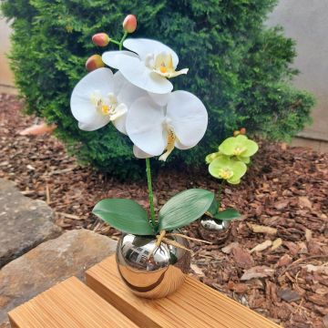 Flor artificial orquídea Phalaenopsis NAPIRAI, maceta, blanca, 30 cm