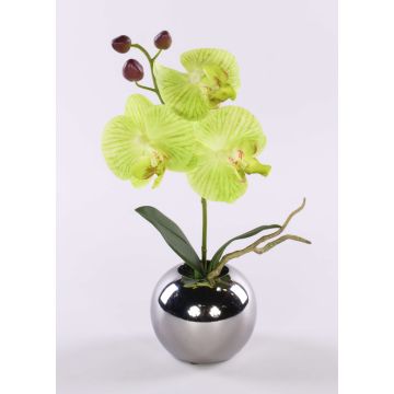 Flor artificial orquídea Phalaenopsis NAPIRAI, maceta, verde crema, 30 cm Flor artificial orquídea Phalaenopsis NAPIRAI, maceta, verde crema, 30 cm