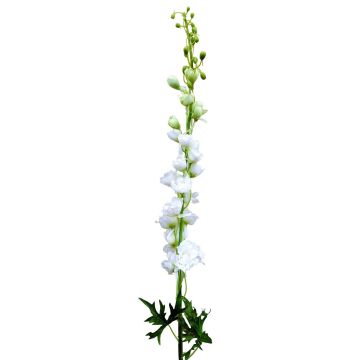 Flor artificial espuela de caballero RADUNIA, crema-blanco, 100 cm